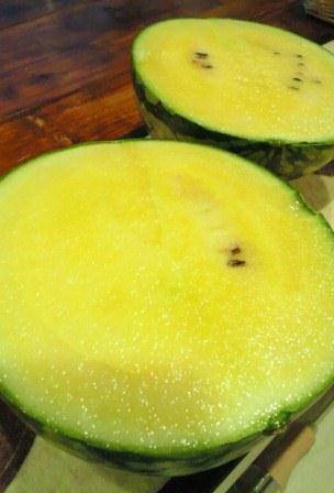 クリームスイカ Cafe Bar Diary