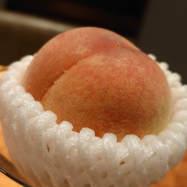 季節のフレッシュフルーツカクテル